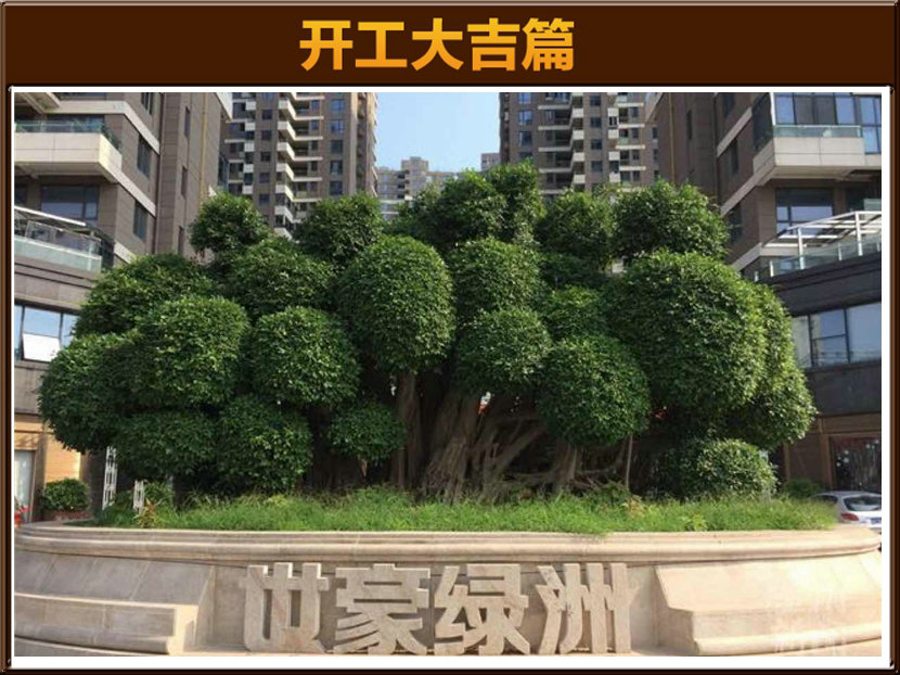 &#113;&#121;&#21315;&#20159;&#45;&#113;&#121;&#21315;&#20159;&#40;&#20013;&#22269;&#41;&#19968;&#31449;&#24335;&#26381;&#21153;&#23448;&#26041;&#32593;&#31449;